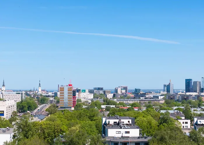 Revalia Vektor Fantastic View