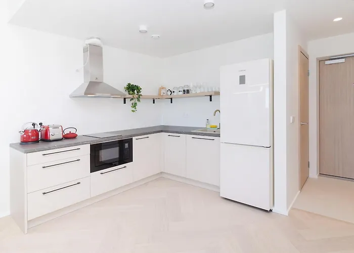 Apartment Revalia Vektor Fantastic View