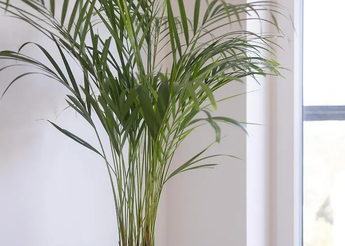 Revalia Vektor Fantastic View Tallinn