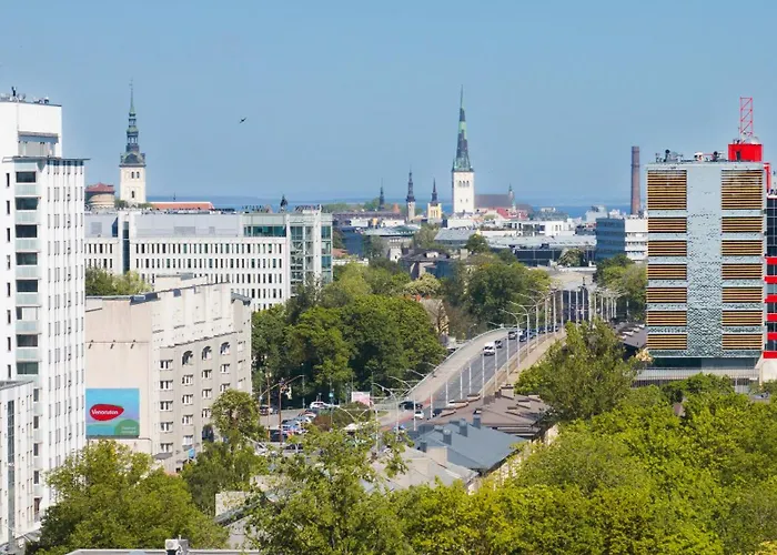 Apartment Revalia Vektor Fantastic View